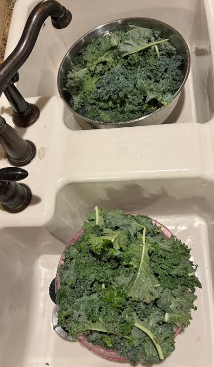 Kale Party 2